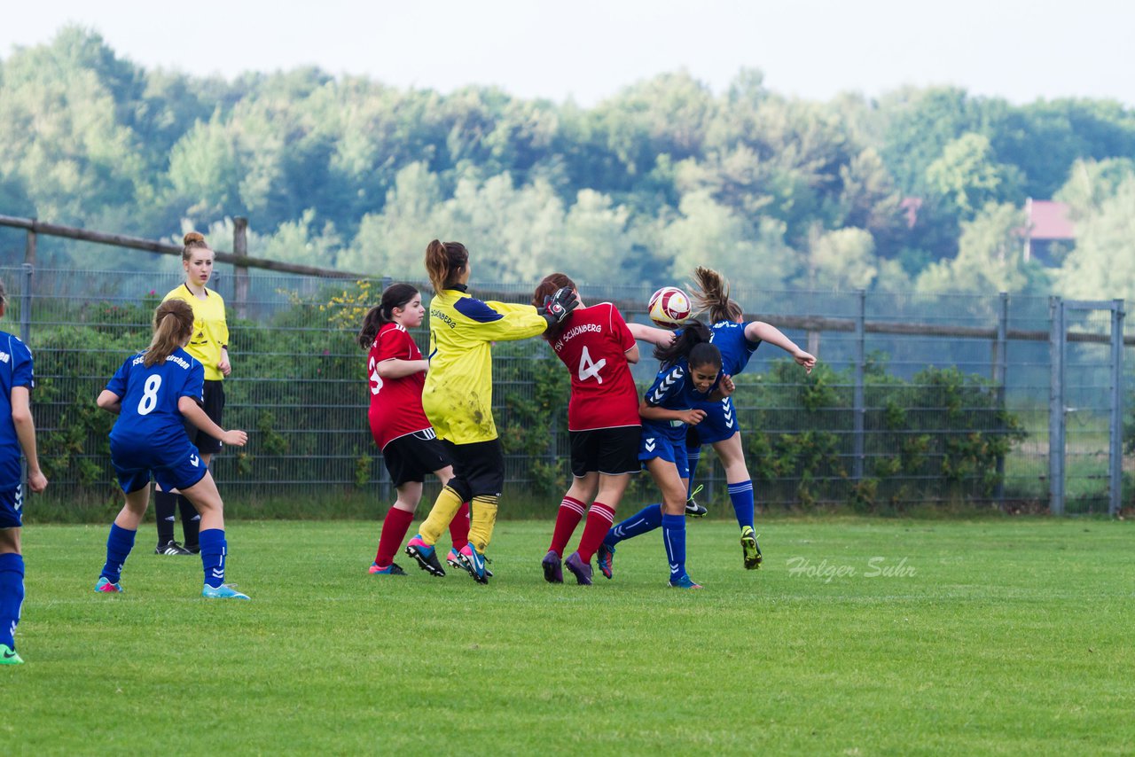 Bild 203 - B-Juniorinnen FSC Kaltenkirchen - TSV Schnberg : Ergebnis: 1:1